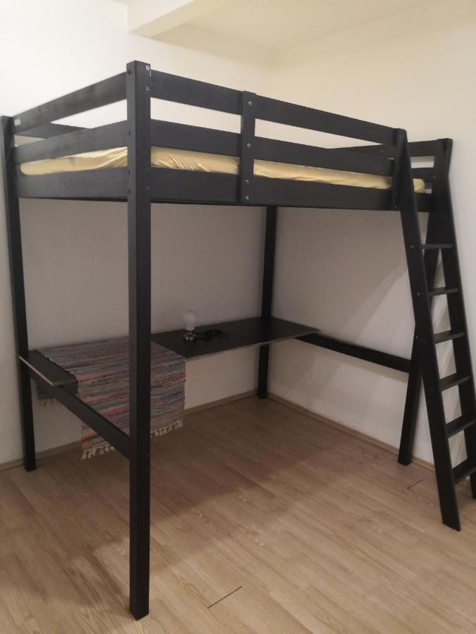 Economy Flat 18 Minutes From Vaclavske Namesti Apartament Praga